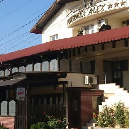 Vila Alex&Razvan Tulcea Extérieur photo
