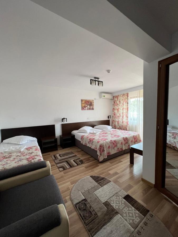Vila Alex&Razvan Tulcea Extérieur photo